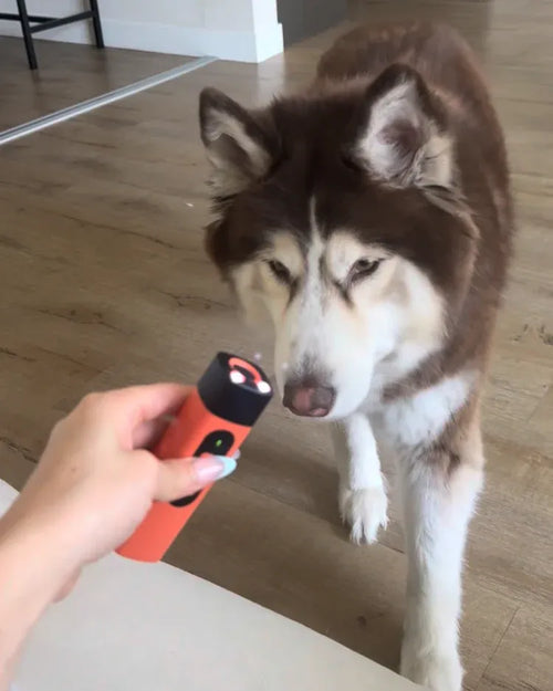 Ultra Sonic Dog Bark Deterrent