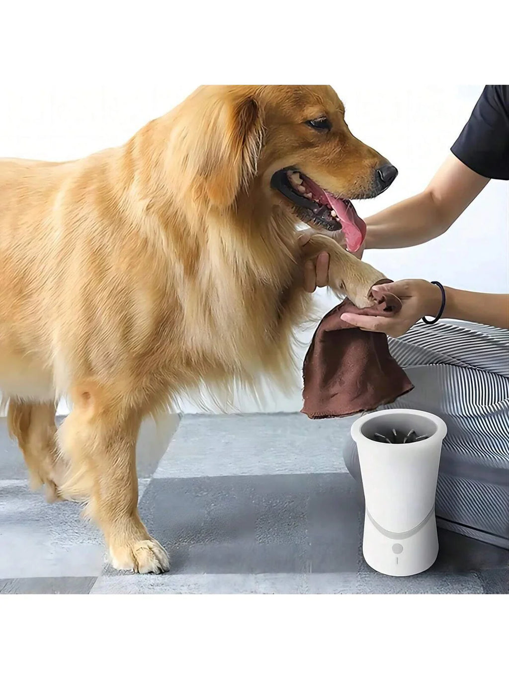 Pet electric foot washer